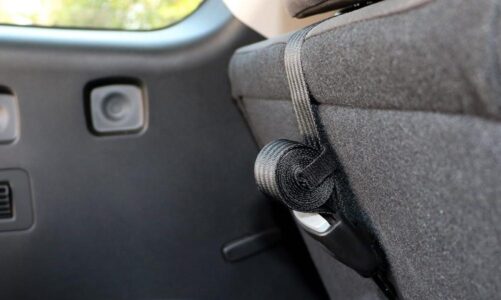 Things You must Know When buying Best Vehicle for Car Seats