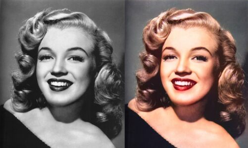 The Art and Science of Image Colorization